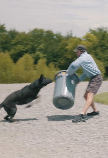 Canine Protection Intl. on TikTok