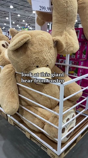 Giant Teddy Bear from Costco - Price, Size & More