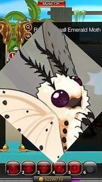 NEW MOTH QUEST IN AQW