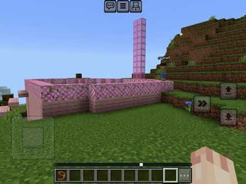 Minecraft special we reached our goal!