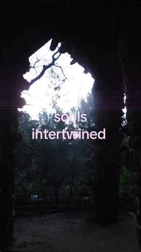 Exploring Digital Cameras and Their Impact