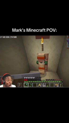 Mark’s Minecraft POV: Desmond on His Farm - Minecraft POV Clip