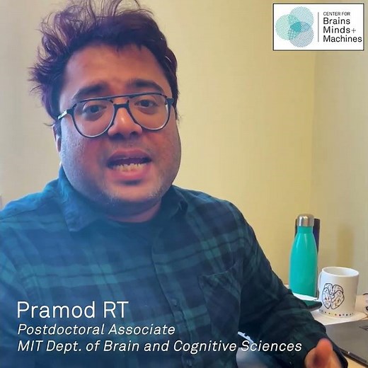 How many neurons are there in human brain?