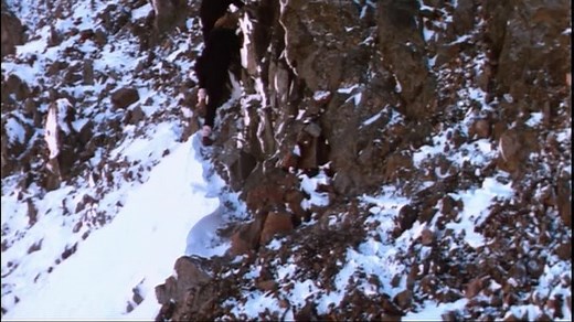 Highlander.2.The.Quickening 1991.1080p.BRRip.x264.AAC-m2g