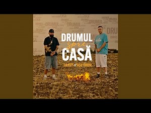Drumul spre casă