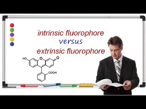 Intrinsic Fluorophore versus Extrinsic Fluorophore | A Comparative Review | Get high grade in exam.