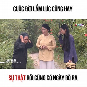 1.6M views · 10K reactions | Cuộc đời lắm lúc cũng hay Sự thật rồi...