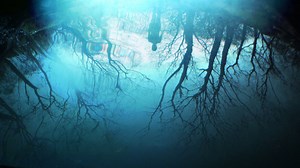 29K views · 195 reactions | An addictive new novel of psychological suspense from the author of #1 New York Times bestseller and global phenomenon #TheGirlOnTheTrain. Paula Hawkins #IntoTheWater | Penguin India | Facebook