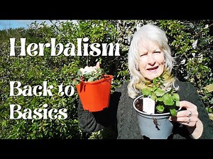 Herbalism - Back to Basics