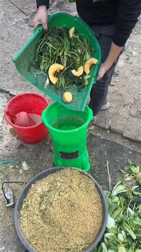 Fast Fodder Making Machine - Save Time & Feed Your Animals Easily