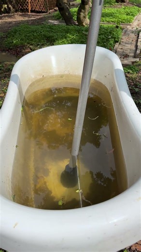 Quick water pump test #waterpump 2215