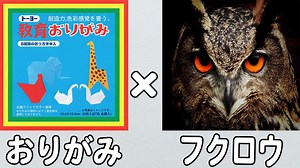 折り紙　フクロウ　立体　簡単な作り方　リアルな折り方【おりがみ】 – ゆいのおりがみ研究室
