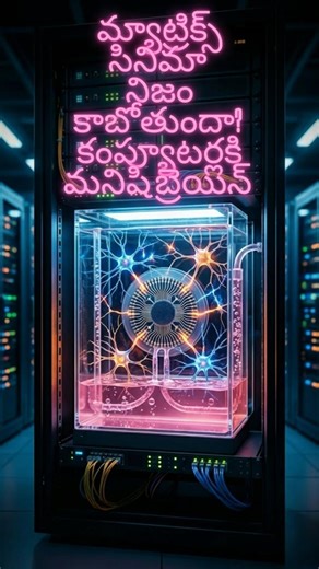 మేట్రిక్స్ నిజం కాబోతుందా? 🧠 మనుషుల బ్రెయిన్ సెల్స్ తో డేటా సెంటర్ Human Brain Cells in Data Centers