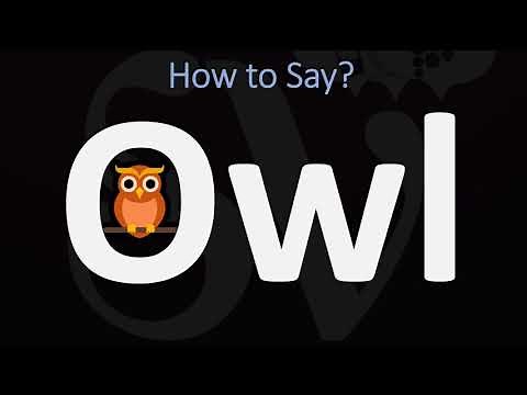 How to Pronounce Owl? (CORRECTLY)