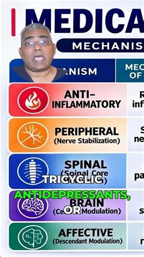 Mechanism-Based Pharmacology for Chronic Pain