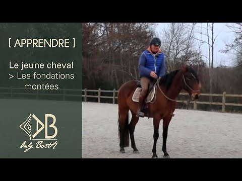 [ APPRENDRE ] Les fondations, montées, d'un jeune cheval