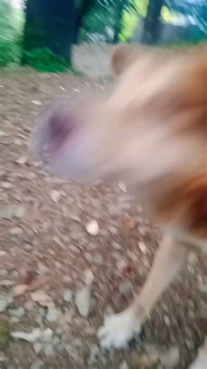 ####colour change dogesh bhai///