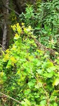 Proverbs 20:7. The righteous lead blameless lives; blessed are their children after them.