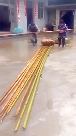 Great Idea !!! #reels #fyp #fypreels #viral #farming #tips #trick #tools #machine #unik #kreatif #agriculture pengikut @sorotan SEMUA SUKA | Firman Lukman