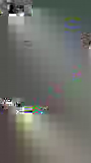 What speed bump? Walkin' Pets by HandicappedPets.com | The Unstoppable Dogs