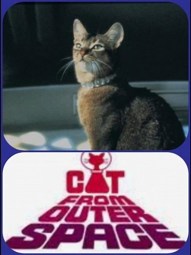 The Cat from Outer Space (1978) | A Short Sweet Review #classicmovies