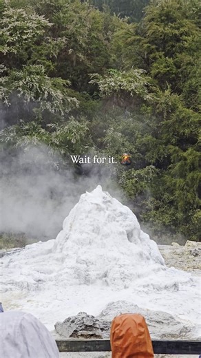Lady Knox Geyser erupting in Rotorua 🌋 One of New Zealand’s most iconic geothermal experiences and a must-see if you’re visiting Rotorua. 🎯 Save this for your New Zealand travel plans and follow for more amazing places to explore. #LadyKnoxGeyser #RotoruaNZ #NewZealandTravel #ExploreNZ #TravelReels | Outdoor Adventures
