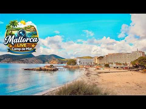 🌞 Mallorca Webcam Camp de Mar Beach Live 24/7 4K UHD #balearicislands #Sunset #Travel #beachvibes