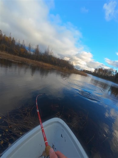 Pike Fishing: Tips & Techniques