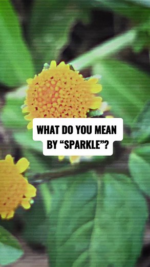 Flintts Mints on Instagram: "Flintts make your mouth water and sparkle...but what does that even mean?? 🤔 #flinttsmints #drymouth #spilanthes"