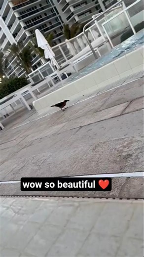 wow so beautiful ❤️