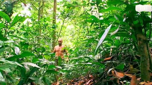 德爷荒野求生第一季全集，直接看到爽！ #德爷荒野求生全集 #户外 #荒野求生第一季