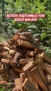 2/4 travail #lowtech avec mon mulet pour rentrer le bois de l’hiver