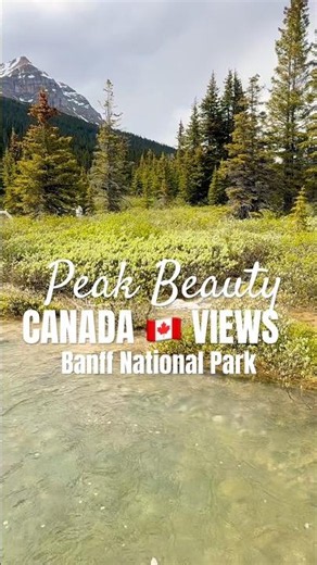 Heaven on Earth -Bow Lake - Banff National Park.