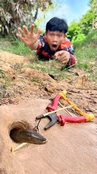 Survival Skills: Easy Eel Trap Using Basic Tools #survival #bushcraft #camping #eeltrap