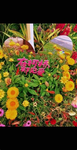 环游瓜渚湖，从南岸公园逛到东岸公园，又逛到北岸公园，然后打道回府，一路美景尽收眼底，用时五个多小时，累趴！