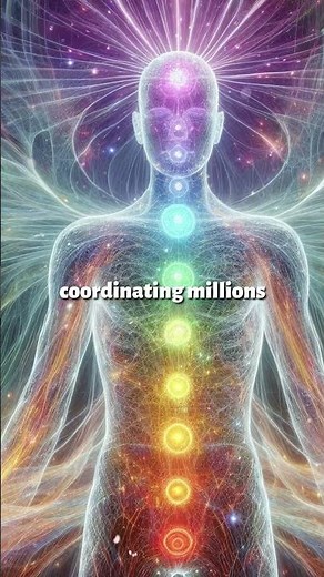 Is Your Body a Cosmic Receiver?