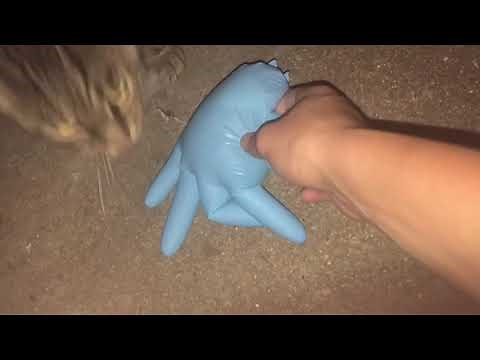 How to make plastic explosives:science project