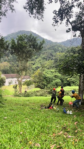 Laughing Emoji Compilation