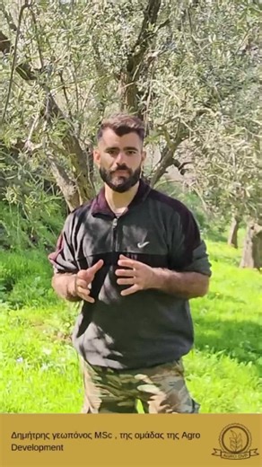 τι να κανεις σε αυτό το χρονικό διάστημα και πέρα στις ελιές σου #φυτα #ελιες #γεωργια #γεωργια #ελαιοκομία #αγρότης #ψεκασμοι #ελαιώνας #αγροτικεςδουλιες🚜🚜 #κλάδεμα #λιπασμα #ελαιολαδο