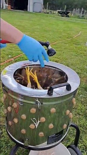 Chicken Plucker In Action. #vevor #chickenplucker