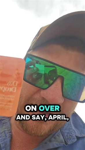 Harvest Time on the Farm: Real Australian Agriculture