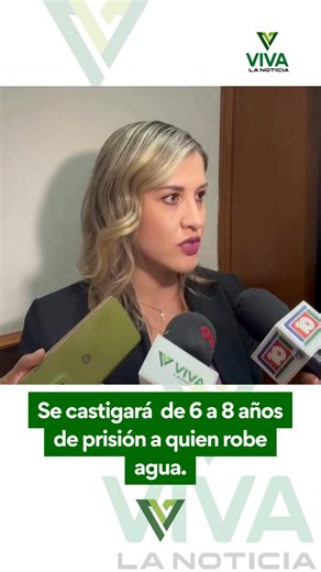 #Durango‼️| Se castigará de 6 a 8 años de prisión a quien robe agua, lo anterior ya está estipulado en el Código Penal de Durango: Gaby Vázquez Chacón, Diputada Local PAN. #VivaLaNoticia🔰 | Viva la Noticia Durango