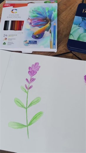 Comparing the Deli Color Emotion Watercolour Pencils to the Finenolo range 🪻 Deli Color Emotion range is so easy and fun to use for first-timers. With a wide variety of colours to play around with and a handy brush, it’s definitely my go-to for simple drawings. Available on Takealot, Amazon, Makro and Leroy Merlin. ✨ #delistationery #watercolor #pencil #artwork #creative