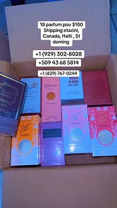 Moun aletranje 1 (929) 302-8028 1 (303) 819-0428 Miley okap rue 20 D E rue 23 et 24 F Anfas Kay mè a 509 44 85 6572 509 42 39 8101 509 33 92 8436 509 33 58 2467 509 40 69 8743 509 35 11 0559 Miley Delmas 62 pi ro komisarya 509 31 11 1824 509 43 68 5814 509 31 65 9645 Miley st doming 1 (829) 767-0244 1 (809) 449-8874 1 (829) 321-1430 1 (809) 354-8759 | Miley Reine Des Cheveux Et Des Perruques #1