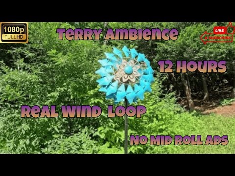 12 Hours Real Wind Ambience Windspinner 1080p Filmed 07 18 2025