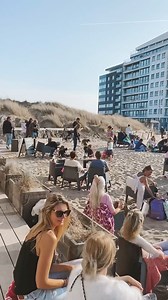 2.3K views · 177 reactions |  | Surfing Elephant | Facebook