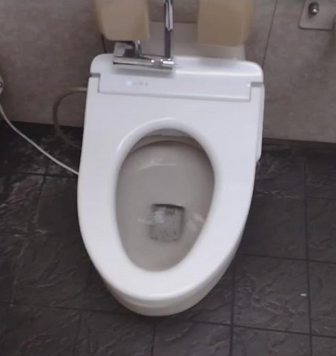 1990s? Toto C454PD Toilet. #toto #toilet #flush #restroom