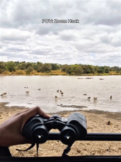 It just works 🤷🏽‍♂️📸 #withgalaxy #binoculars #birdwatching #safari #kenya