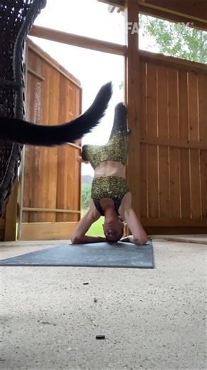 673K views · 2.8K reactions | Celebrate #InternationalYogaDay with some funny fails! #fails #failarmy #yoga | FailArmy | Facebook