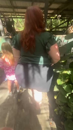 Asstyn Martyn on Instagram: "I loved the (non alcoholic) beer drinking pigs at @dominoclubstcroix"